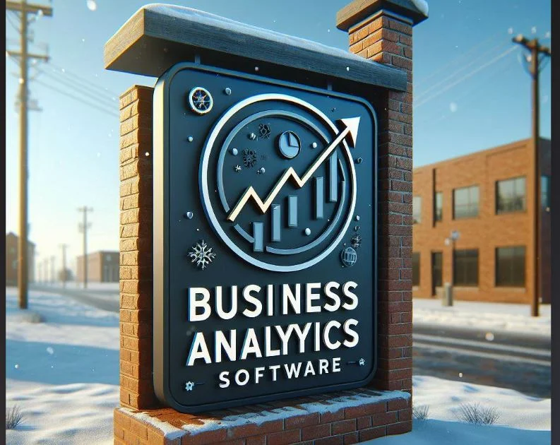 Business Analytics Software